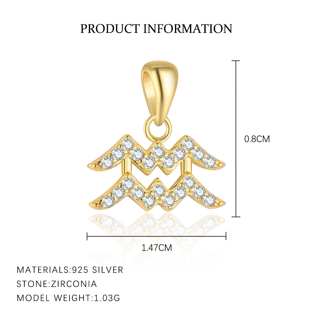 S925 Sterling Silver Twelve Constellation Refined Personalized Clavicle Chain Light Luxury